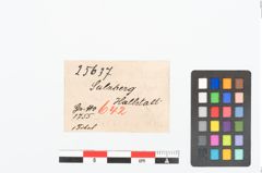 Etikett zu Bronzepaukenfibel (NHMW-PRAE-025637)